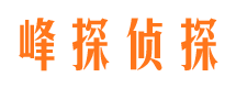 东风商务调查